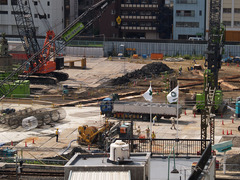 p8062052.jpg