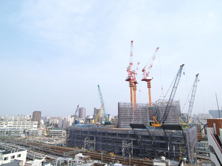 p5126911.jpg
